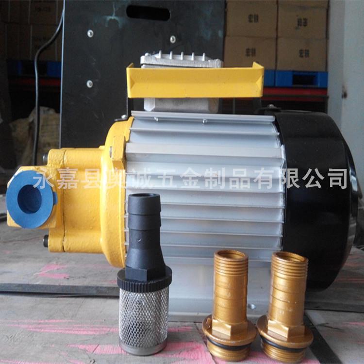 YTB-4机油液泵/YTB-G-65单项20吸20V自齿轮油泵柴油机油压抽油泵