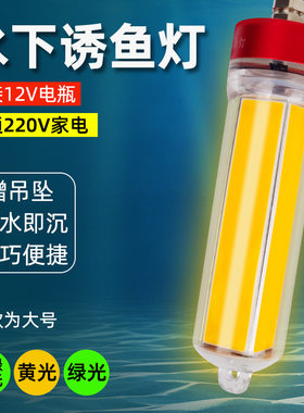 钓哈哈冰钓筏钓水下诱鱼灯夜钓海钓捕鱼聚鱼灯黄光船用钓鱼筏钓灯