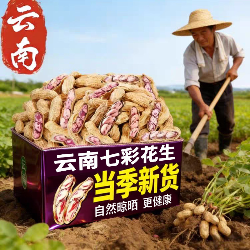 云南七彩花生晒干带壳原味熟花生野地花生米年货休闲健康零食零食,零食/坚果/特产,花生,淘宝优惠券,粉丝福利购,淘宝优惠卷
