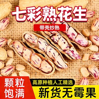 熟七彩花生新货带壳云南特产