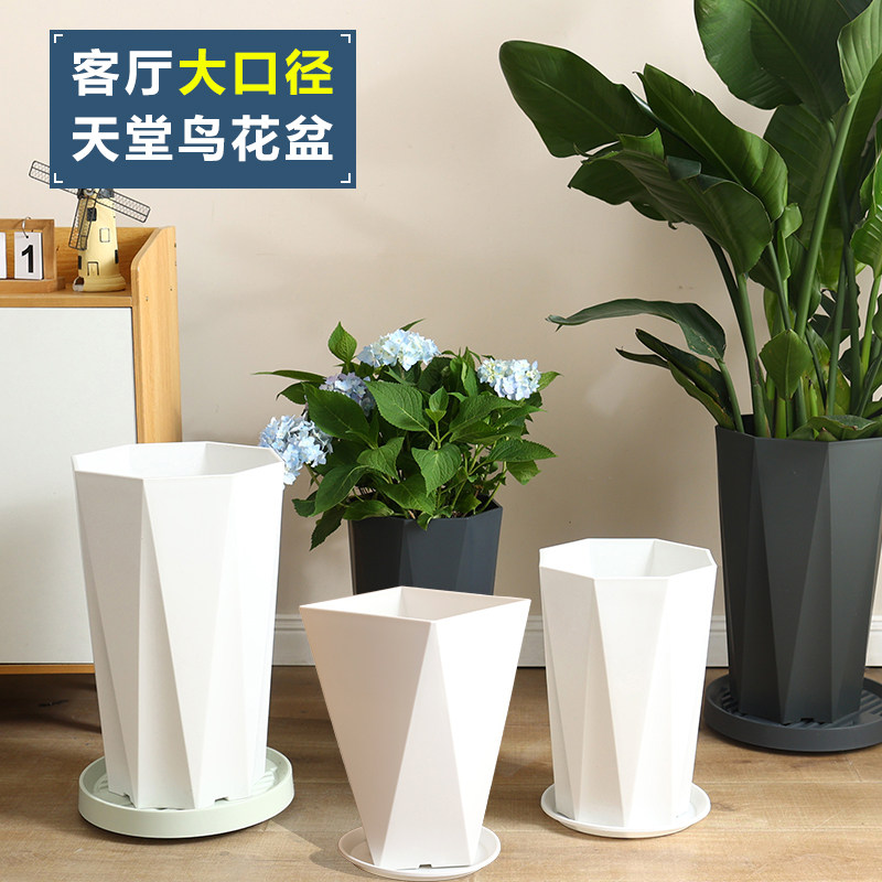 花盆家用白色新款三代加仑盆透气高花盆大号树脂金钱树花盆栽果蔬