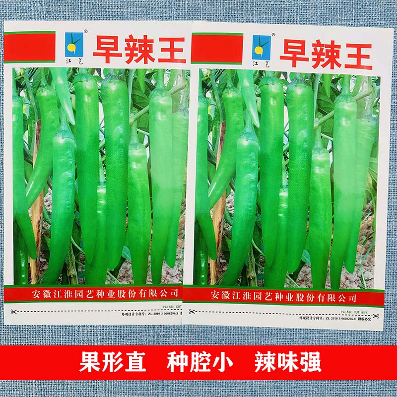 早辣王尖椒种子辣椒超辣种籽四季春季夏秋冬籽蔬菜种孑香辣秋冬季