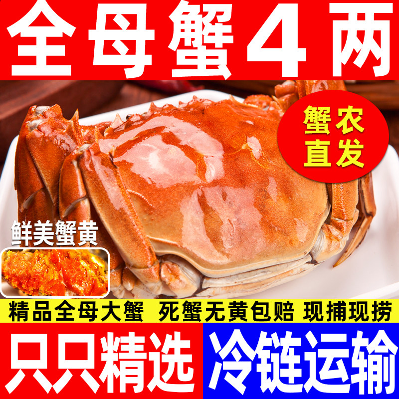 16只鲜活全母清水大闸蟹