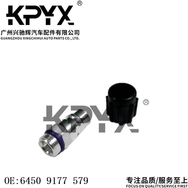 适用于宝马E46E53E60E63E65E66E70E71高压雪种嘴OE:64509177579