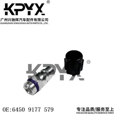 适用于宝马E46E53E60E63E65E66E70E71高压雪种嘴OE:64509177579
