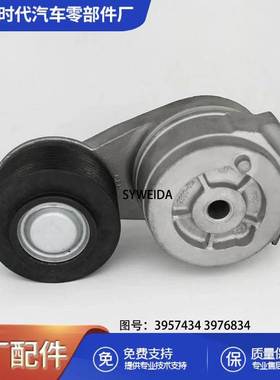 机械柴油机配件QSB6.7柴油机皮带涨紧轮3973819 3976834 3957434