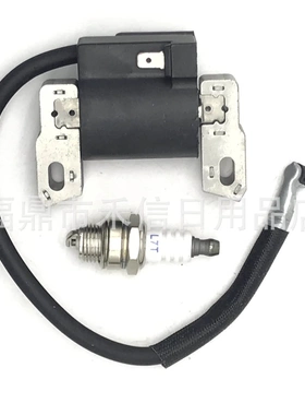 590454高压包点火线圈适用BS 799381 790817 692605 802574发动机