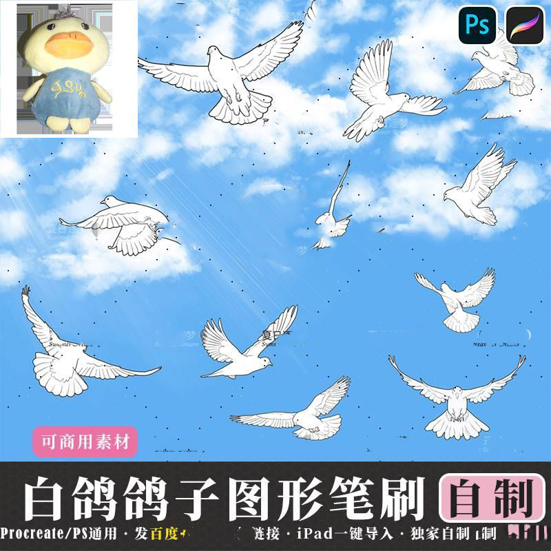 Procreate笔刷20枚白鸽鸽子飞鸟图形笔刷PS笔刷可商用素材 DIY24_虎窝淘