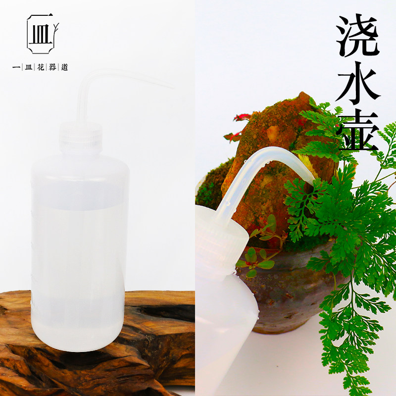园艺花艺工具插花辅助工具浇水壶挤压出水壶瓶花补水盆栽洒水水壶,鲜花速递/花卉仿真/绿植园艺,其它园艺用品,淘宝优惠券,粉丝福利购,淘宝优惠卷