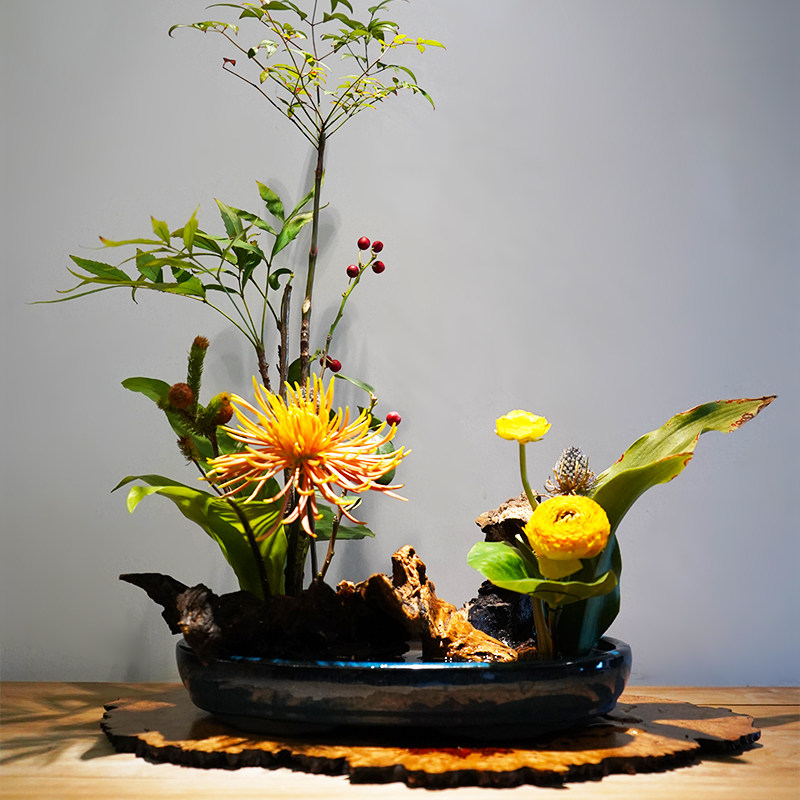 木雕杜鹃根沉木枯木花艺插花禅意原木摆件仿古花器造景微景观装饰