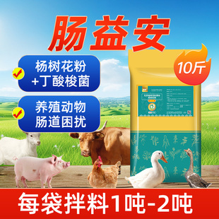 兽用杨树花粉丁酸梭菌禽畜用肠益安天然植物提取