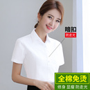 女短袖 衬衣职业正装 白衬衫 抗皱免烫全棉半袖 弹力工装 工作服大码