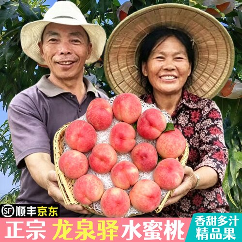 四川龙泉驿水蜜桃果园现摘
