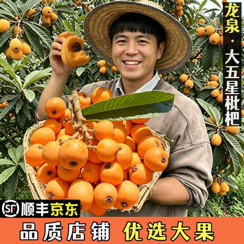 京东龙泉大五星枇杷小时候味道