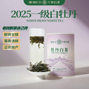 六妙白茶2025年一级白牡丹新茶日常口粮福鼎白茶茶叶花香散茶罐装