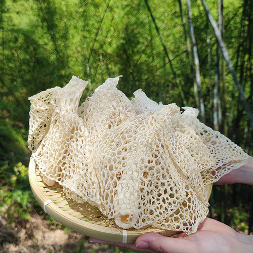 长宁蜀南竹海长裙竹荪煲汤佳品