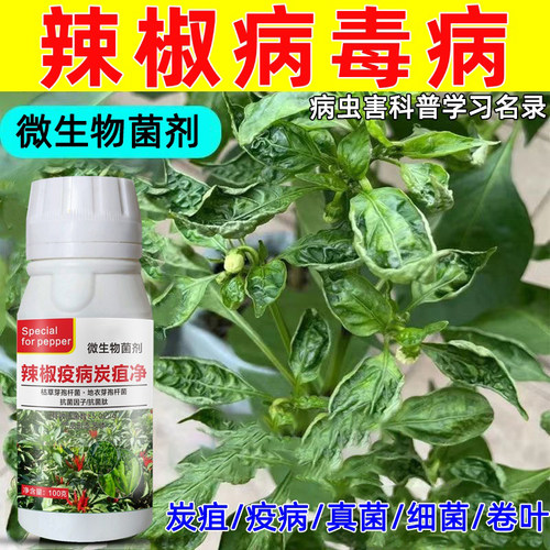 辣椒防治药辣椒病菌清辣椒卷叶花叶病病毒病炭疽病烂果病通用药