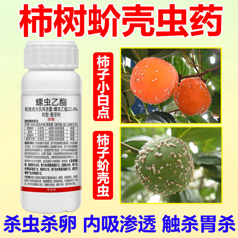 柿树蚧壳虫专用药柿子树杀虫剂桃树果树杀虫杀卵螺虫乙酯农药大全