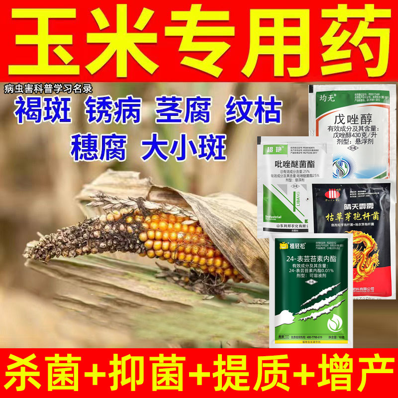 玉米杀菌剂玉米锈病专用药纹枯病白粉病叶斑病褐腐病农用杀菌剂