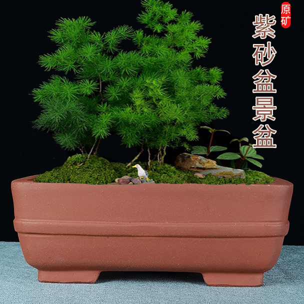 特大号宜兴紫砂陶瓷盆景盆长方形四方马槽盆黄杨老桩