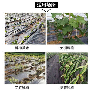 防草布园艺农用地布除草布盖草抑草地膜透气保湿 可降解果树果园