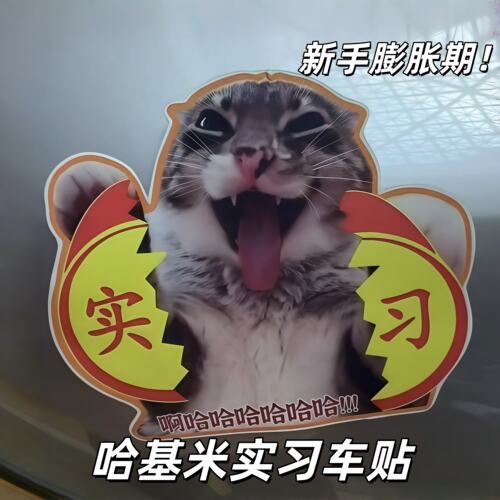 【新手膨胀期！】me猫咪