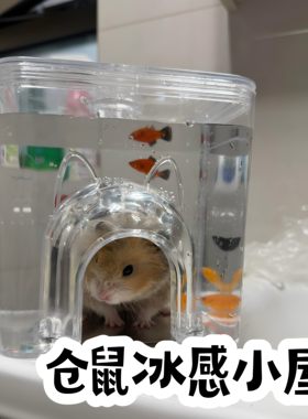 鼠鼠生存日记~仓鼠冰感小