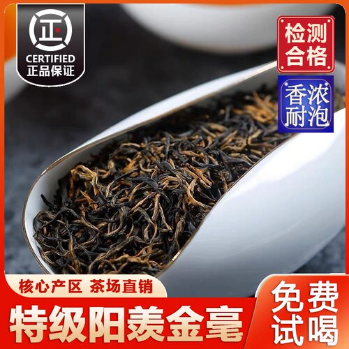 2026阳羡金毫明前特级宜兴红茶
