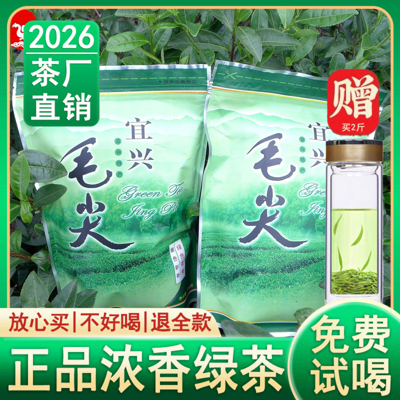 2026年新茶宜兴毛尖绿茶高山茶叶春茶日照充足浓香型袋装500g包邮