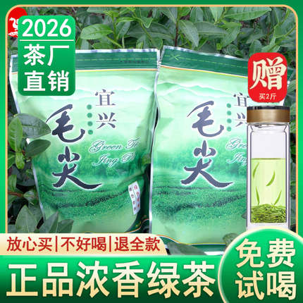 2026年新茶宜兴毛尖绿茶高山茶叶春茶日照充足浓香型袋装500g包邮