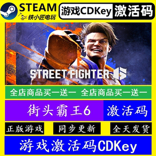 街头霸王6 steam国区全球激活码CDK 正版游戏全dlc永久入库包更新