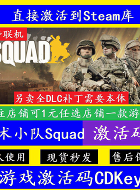 战术小队Squad STEAM游戏国区全球区激活码CDK永久入库全DLC联机