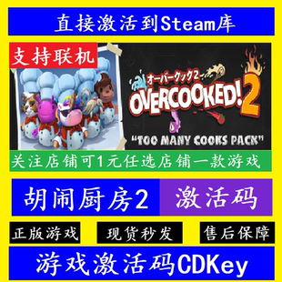 steam胡闹厨房2入库激活码CDKey 正版全球PC在线联机Overcooked2