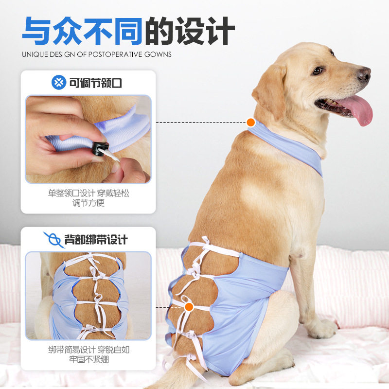 狗狗术后绑带款四季可调康复服