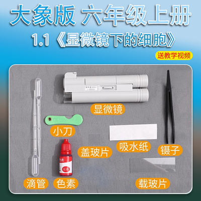 大象版六年级上册小学生科学实验套装材料教具学具显微镜下的细胞