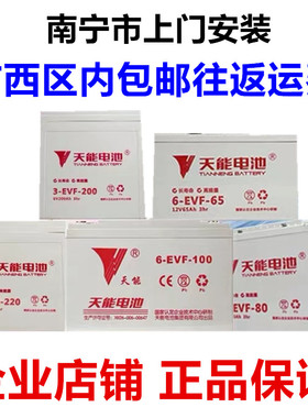 天能新能源电动汽车电池8V150AH\6V200AH\12V100AH专用铅酸轨道