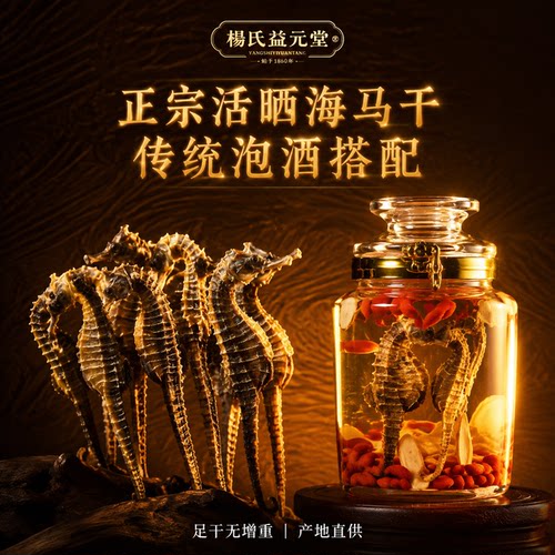 正品大海马干货一公一母泡酒煲汤