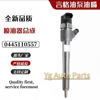 0445110557 0305BAB02221N 用MAHINDRA高压共轨喷油器总成喷油嘴