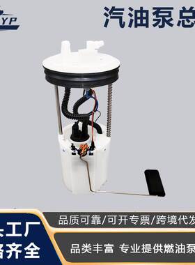 跨境适用于华泰A25-1.5T(DG）11060100G10燃油泵汽油泵总成