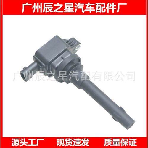F01RB0A195 F01RB0A195汽车点火线圈