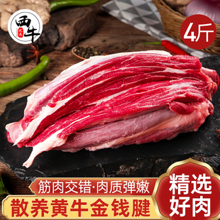 金钱腱原切牛腱子肉4斤黄牛生鲜现杀新鲜牛腿黄冷冻生牛肉健身