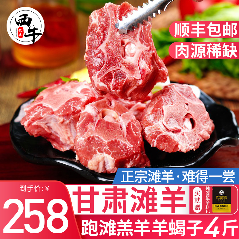 散养滩羊羊蝎子4斤新鲜羊肉脊骨带肉羊脊骨冷冻烧烤火锅食材-封面