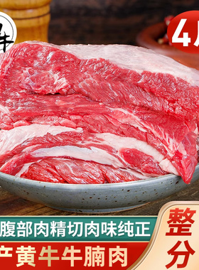 牛肉新鲜牛腩肉鲜切2000g整块牛腩生鲜牛排黄牛肋条冷冻商用食材