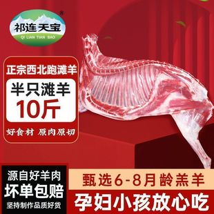 祁连天宝半只羊羔羊滩羊10斤羊肉新鲜羊腿手把肉羊排甘肃年货2斤