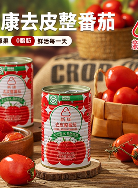 新康绿色去皮整番茄酱425g新疆特产煲汤炒菜无防腐剂添加剂意面