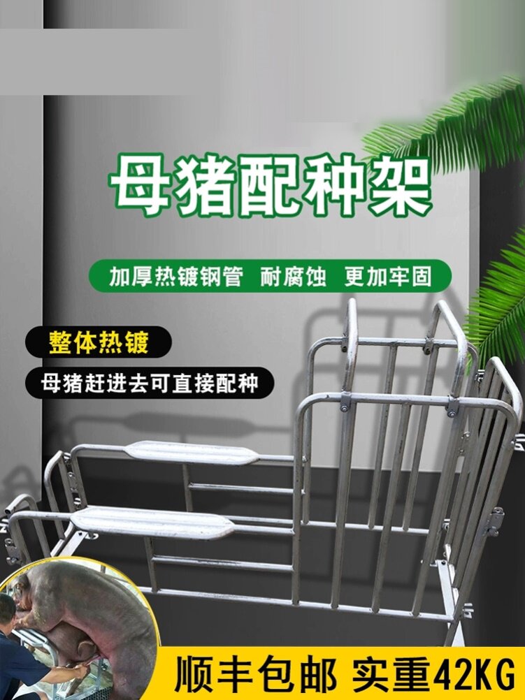 母猪配种架 猪用矮脚配种器母猪配种设备公猪用采精支架 配猪架子
