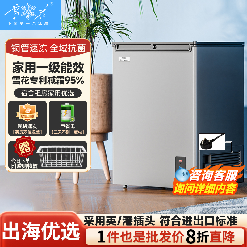 雪花英规港版插头家用小冰柜