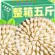 素馅饺子水饺混合口味荠菜韭菜鸡蛋新鲜饺子方便速食冷冻面食