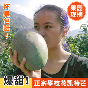 超大芒果攀枝花凯特芒果新鲜10斤熟了应季水果当季整箱现货礼盒装