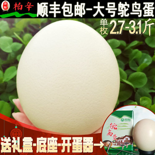 端午节日送礼顺丰包邮新鲜可食用鸵鸟蛋巨大号蛋现捡现发高端食材 - 封面